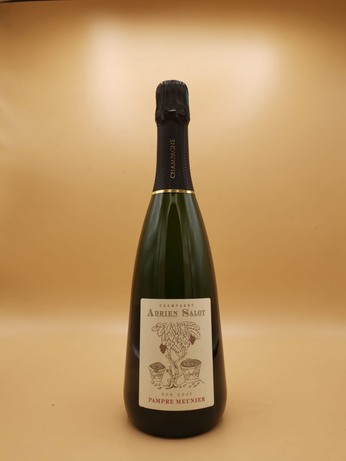 Champagne Pampre Meunier Non Dosè Adrien Salot