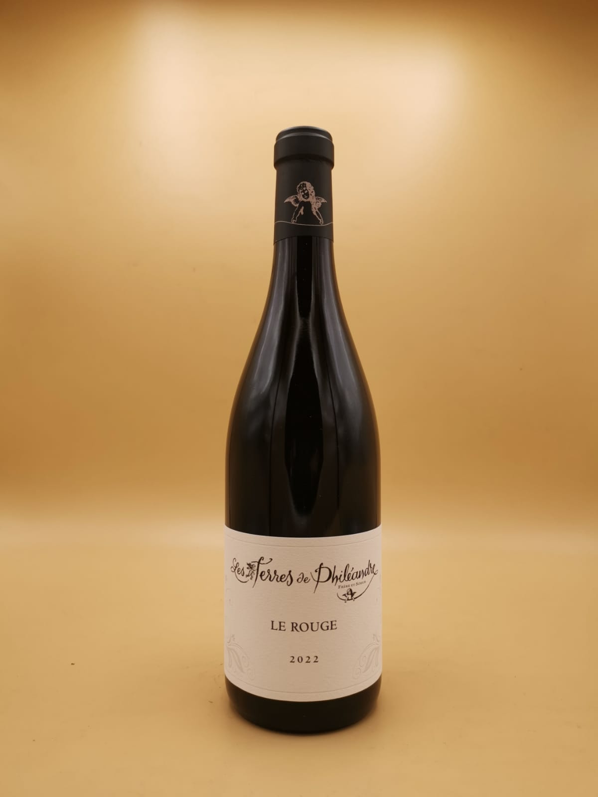 Vin de France Rouge Les Terres de Philéandres 2022 David Duband