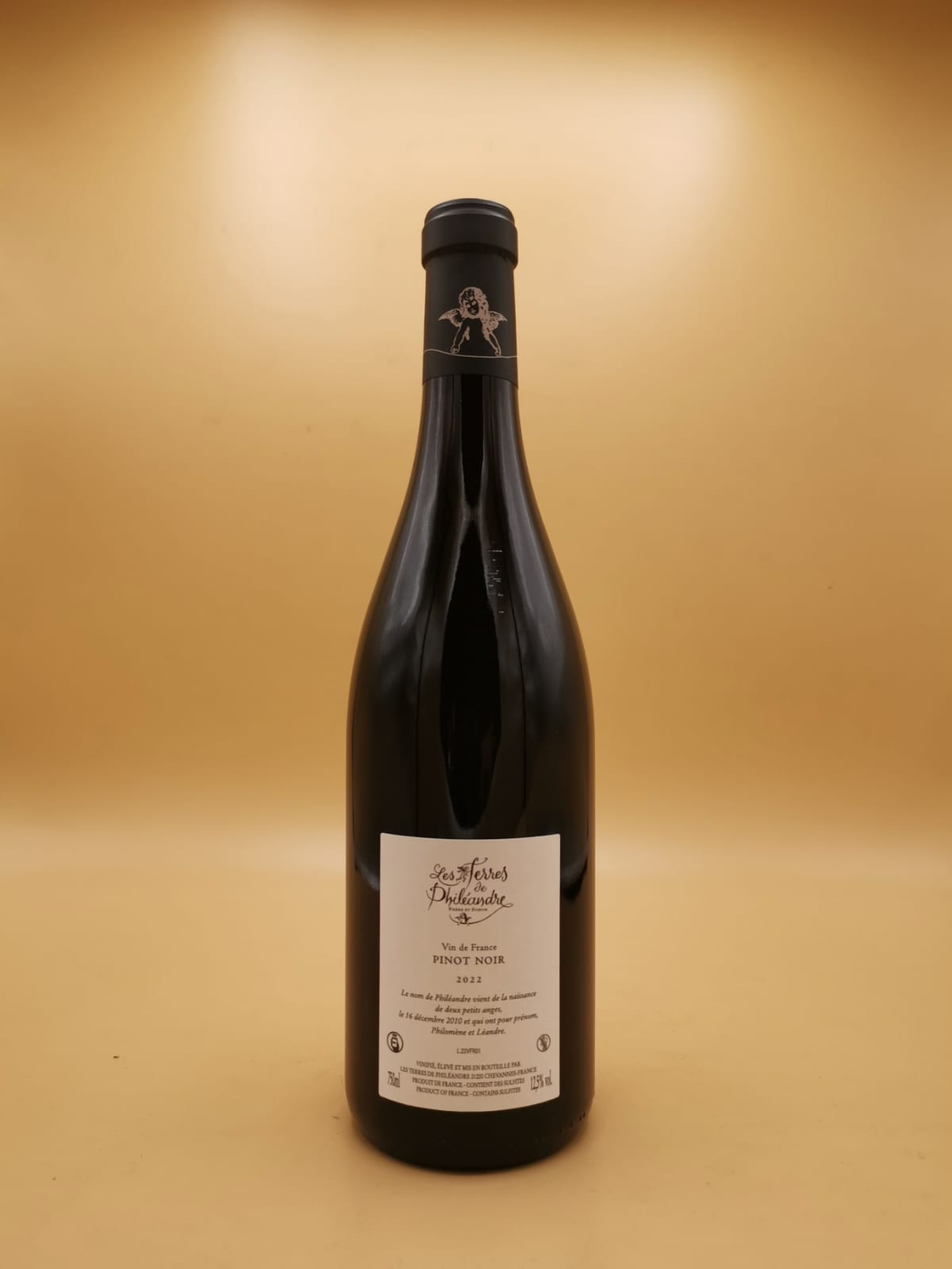 Vin de France Rouge Les Terres de Philéandres 2022 David Duband