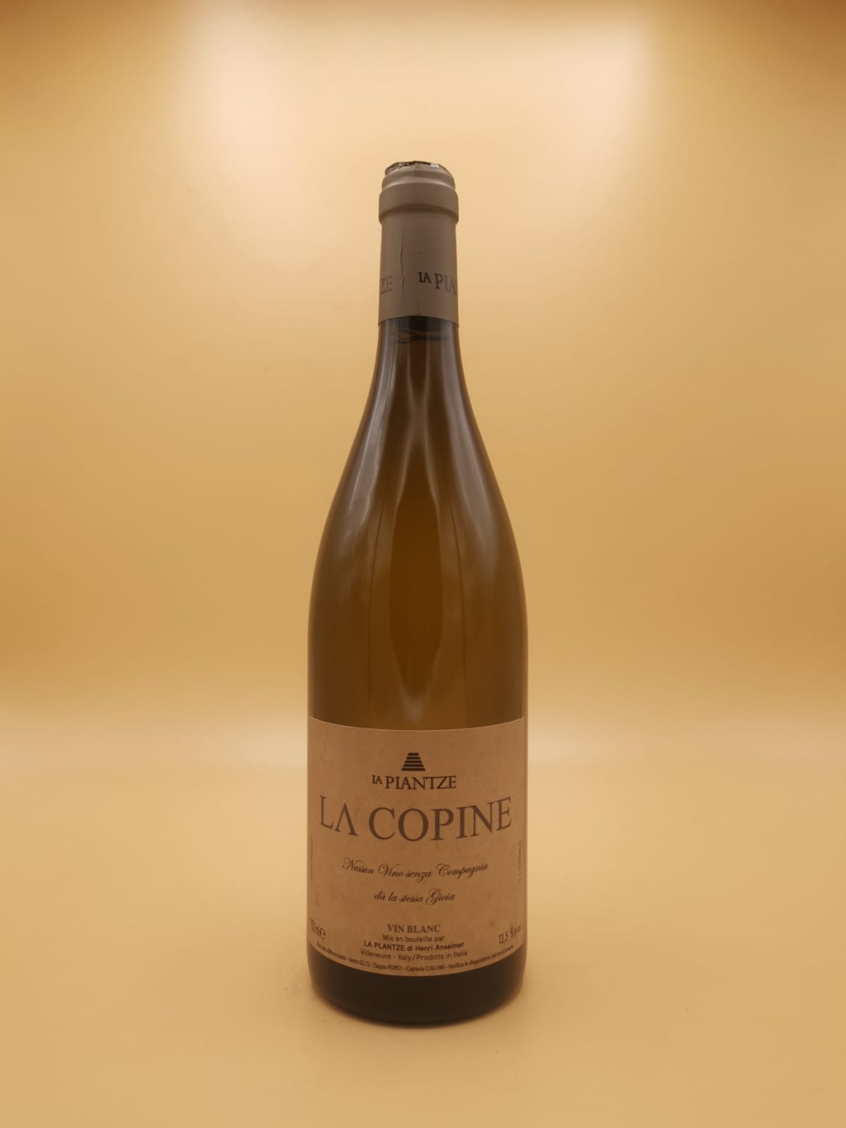 La Copine Sauvignon Blanc 2022 La Plantze | Vin et Alchimie