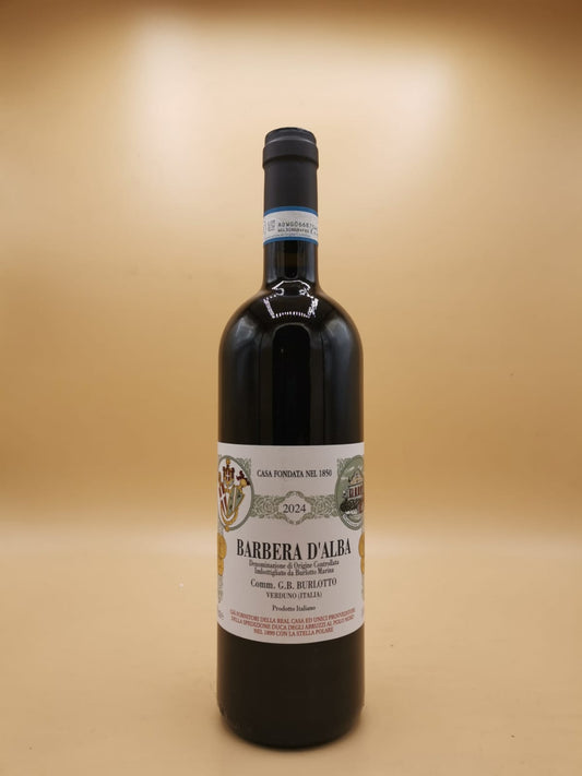 Barbera d'Alba 2024 Burlotto
