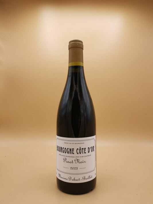 Bourgogne Cote d'Or 2023 Maxime Dubuet Boillot