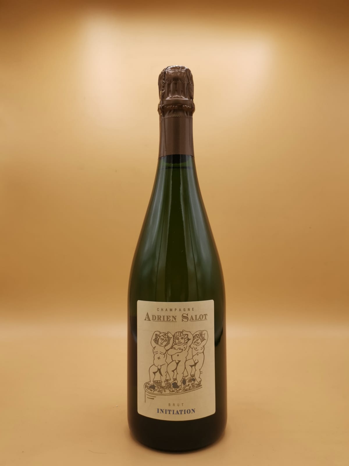 Champagne Initiation Brut Adrien Salot