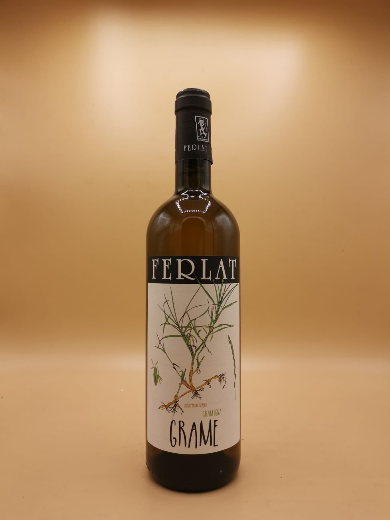 Grame Malvasia IGT Macerato 2022 Ferlat