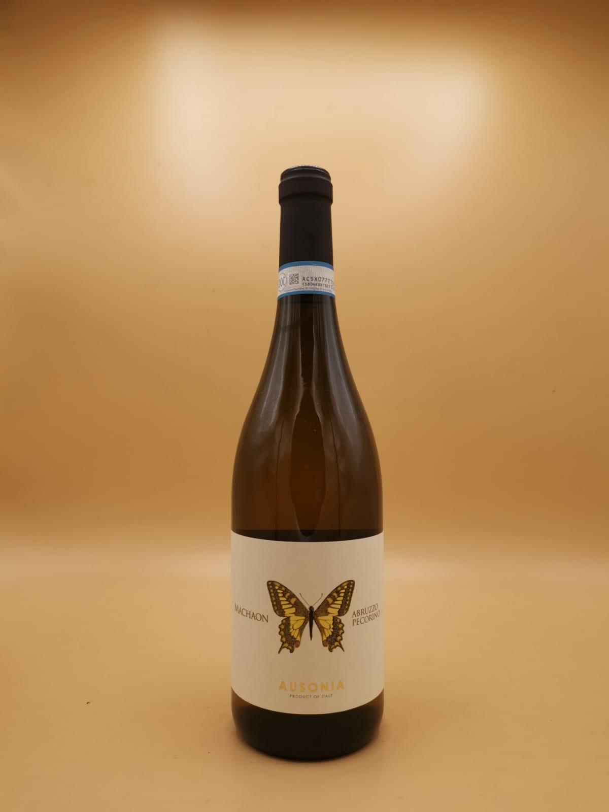 Machaon Abruzzo Pecorino DOP 2022 Ausonia