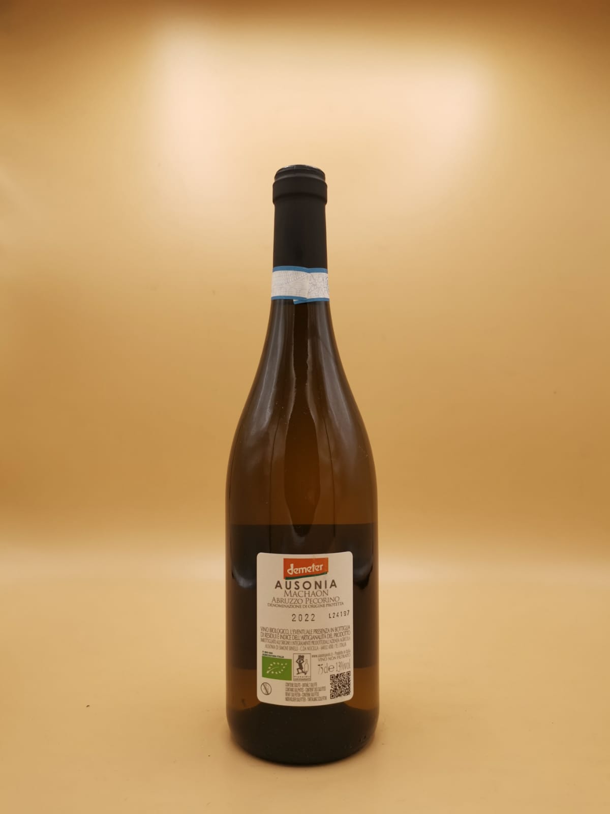Machaon Abruzzo Pecorino DOP 2022 Ausonia