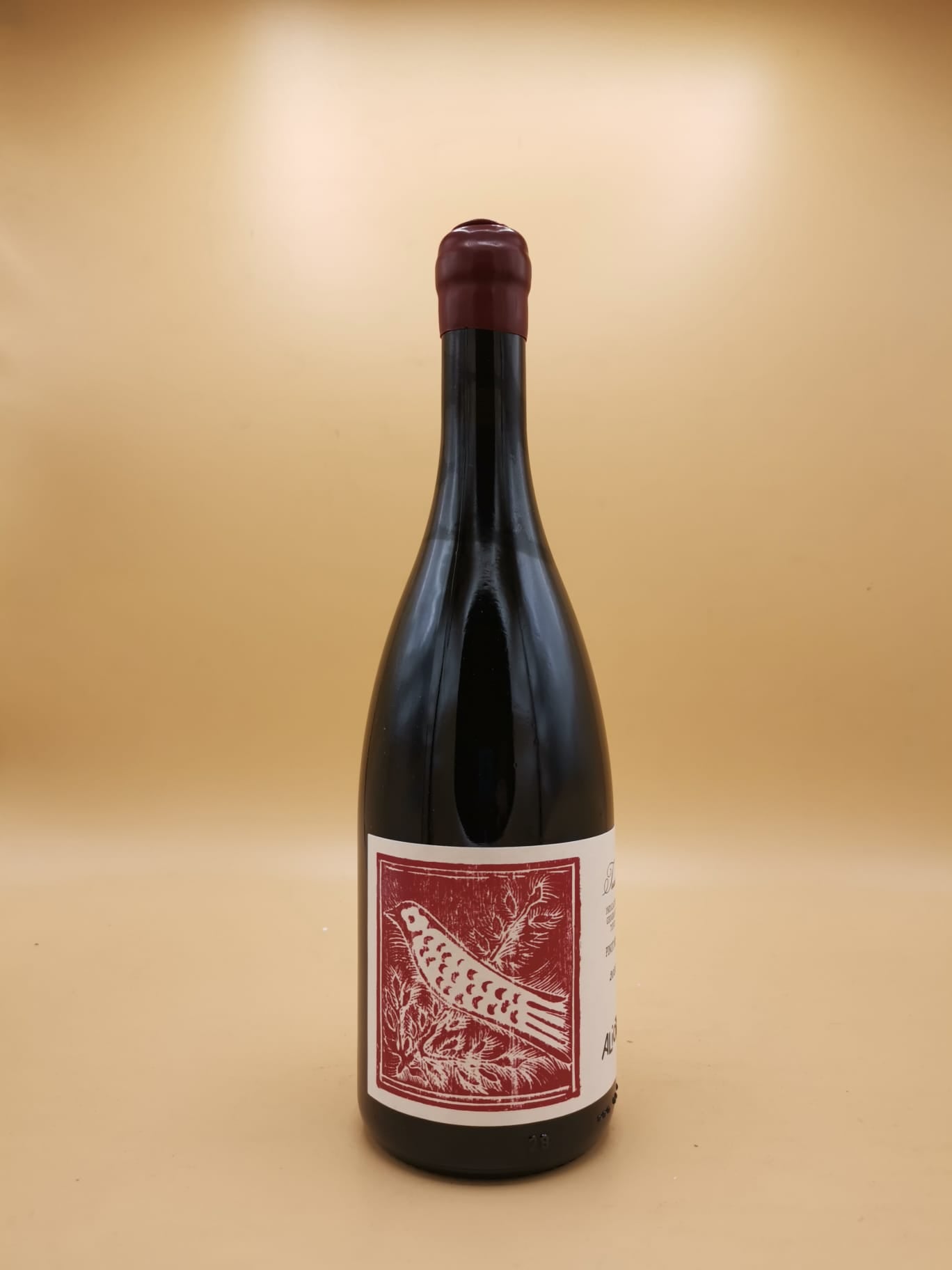 Pinot Nero 2023 Aliotti