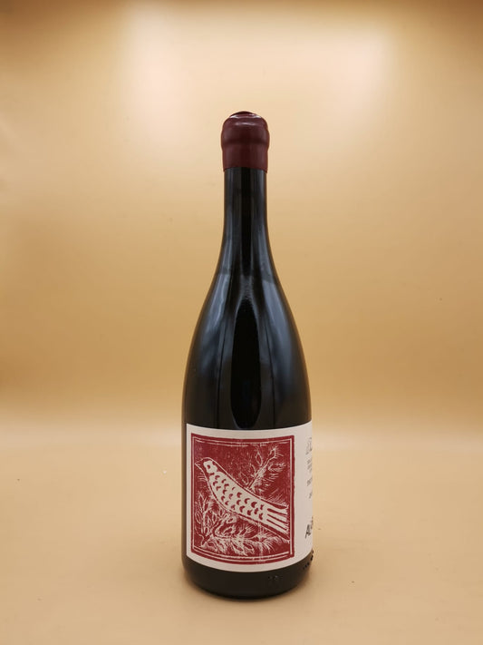 Pinot Nero 2023 Aliotti