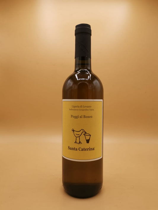 Poggi al Bosco 2023 Santa Caterina