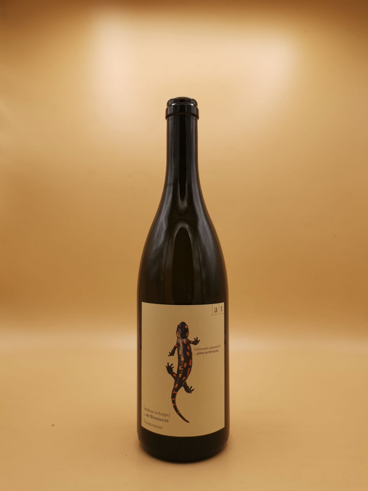 Salamander Chardonnay 2022 Andreas Tscheppe