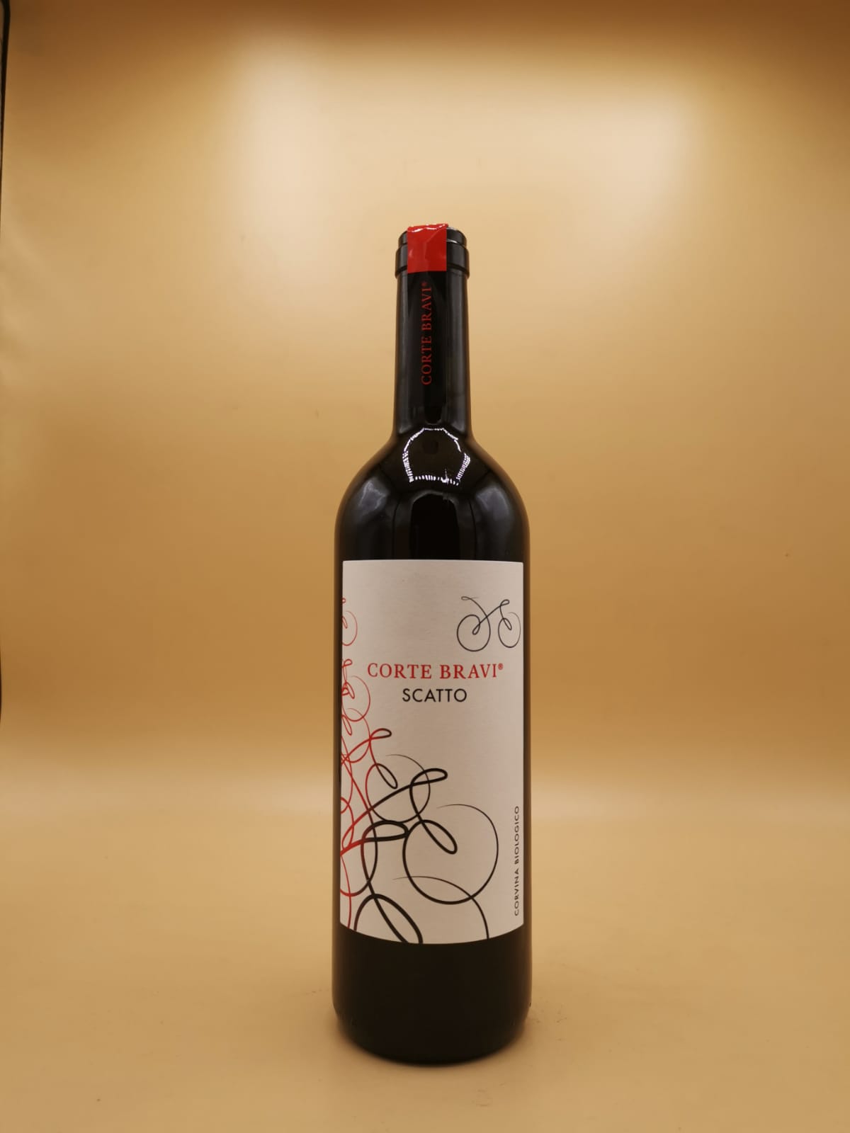 Scatto IGT Corvina 2023 Corte Bravi