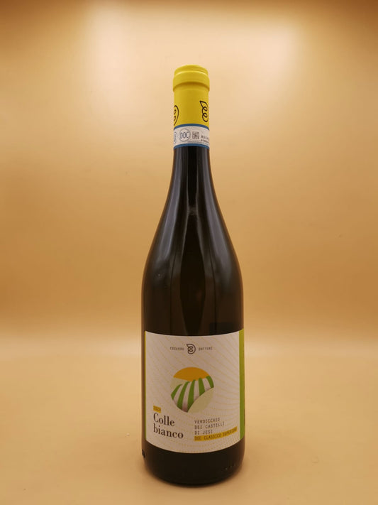 Verdicchio dei Castelli di Jesi ColleBianco 2024 Edoardo Dottori