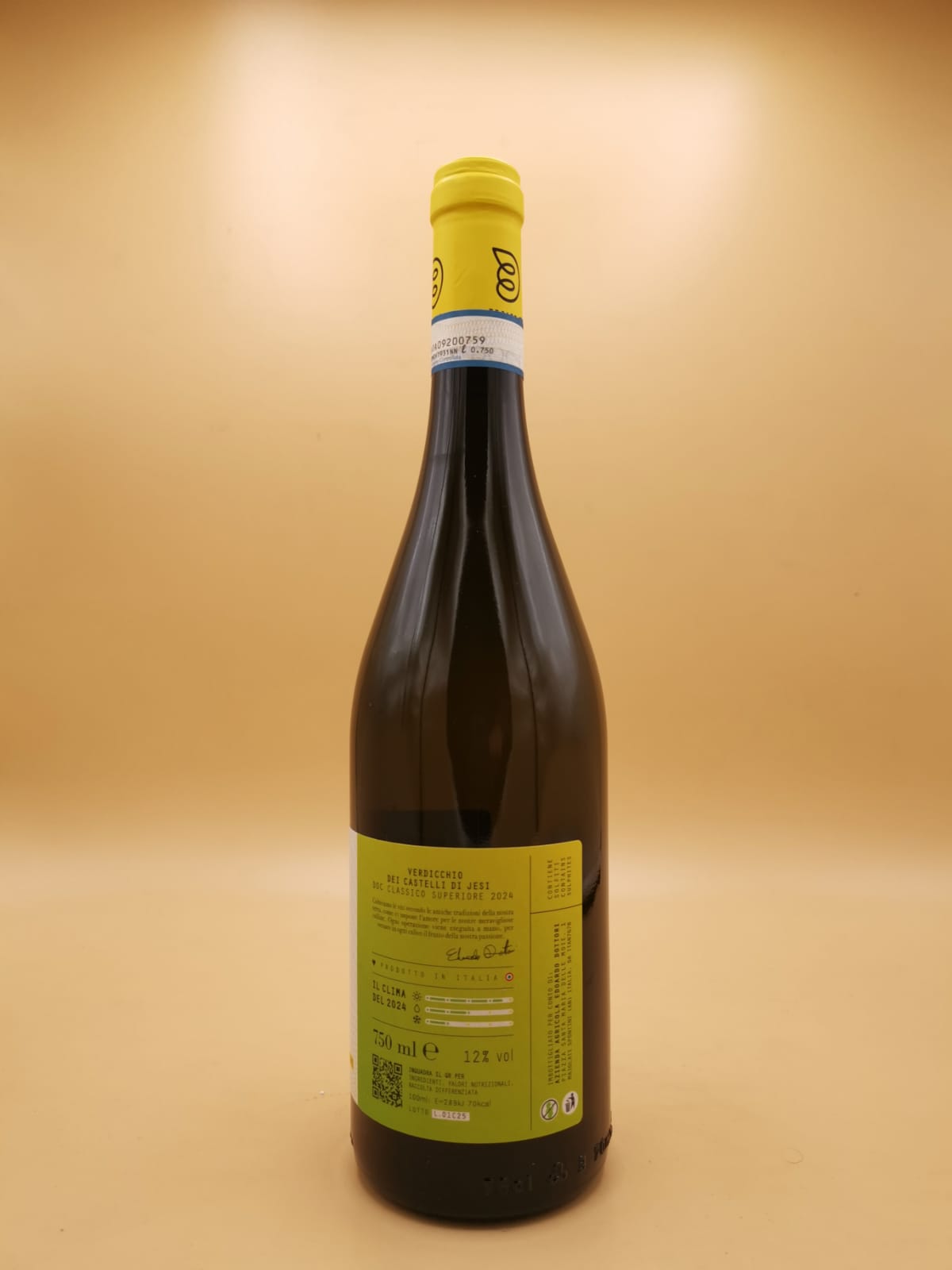 Verdicchio dei Castelli di Jesi ColleBianco 2024 Edoardo Dottori