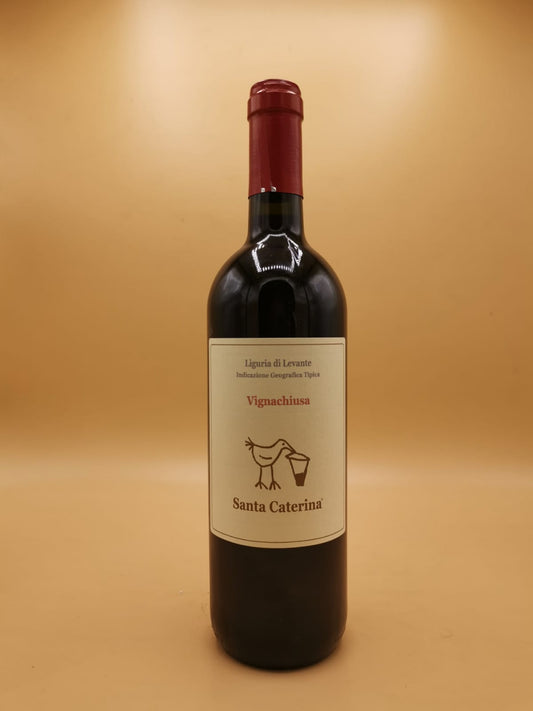VignaChiusa Rosso 2023 Santa Caterina