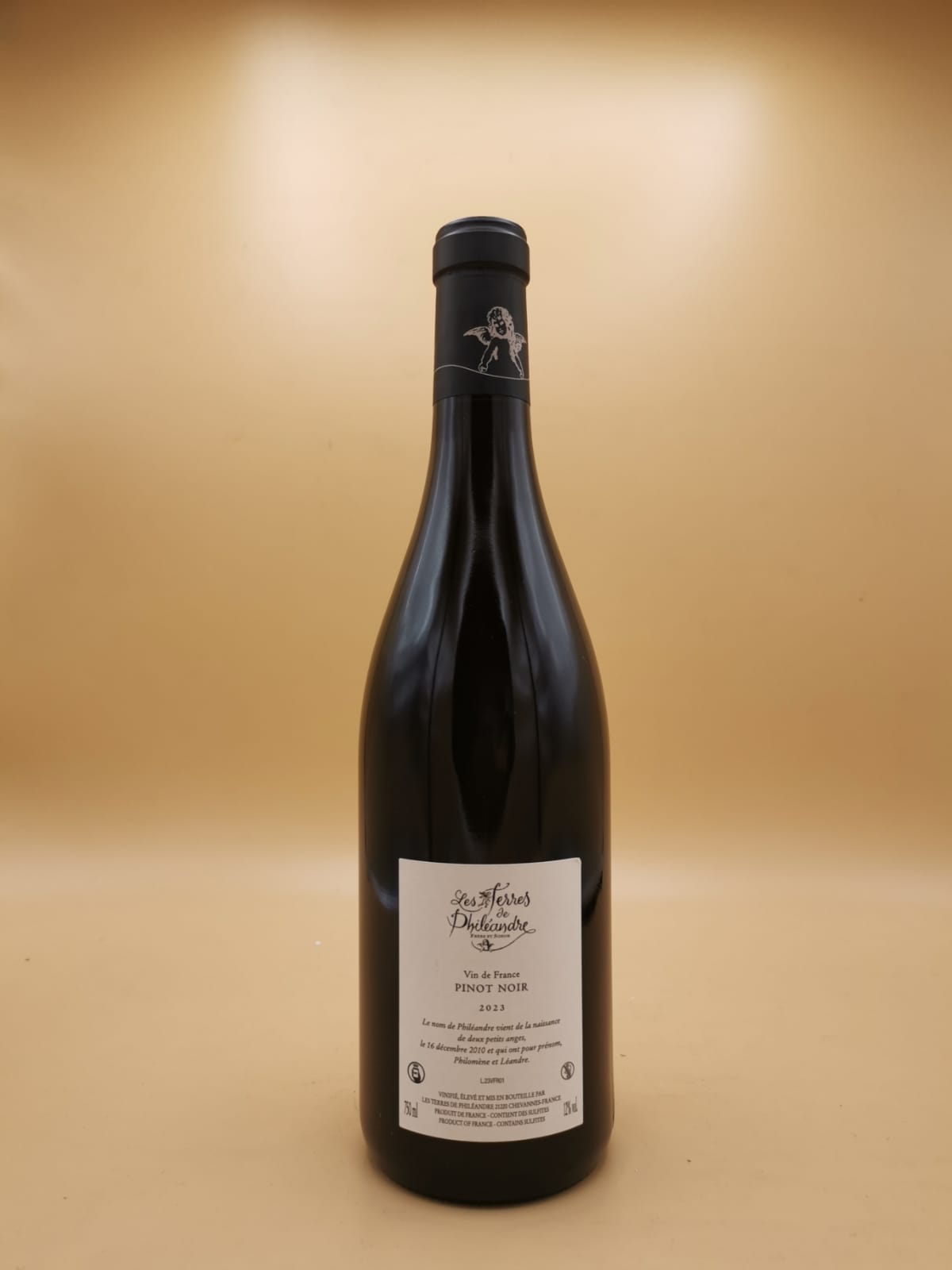 Vin de France Rouge Les Terres de Philéandres 2023 David Duband