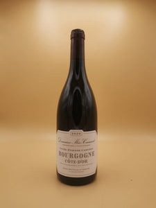 Bourgogne Rouge Cuveé Etienne 2020 Meo Camuzet | Vin et Alchimie