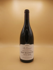 Bourgogne Rouge Hemisphere Nord 2020 Meo Camuzet | Vin et Alchimie