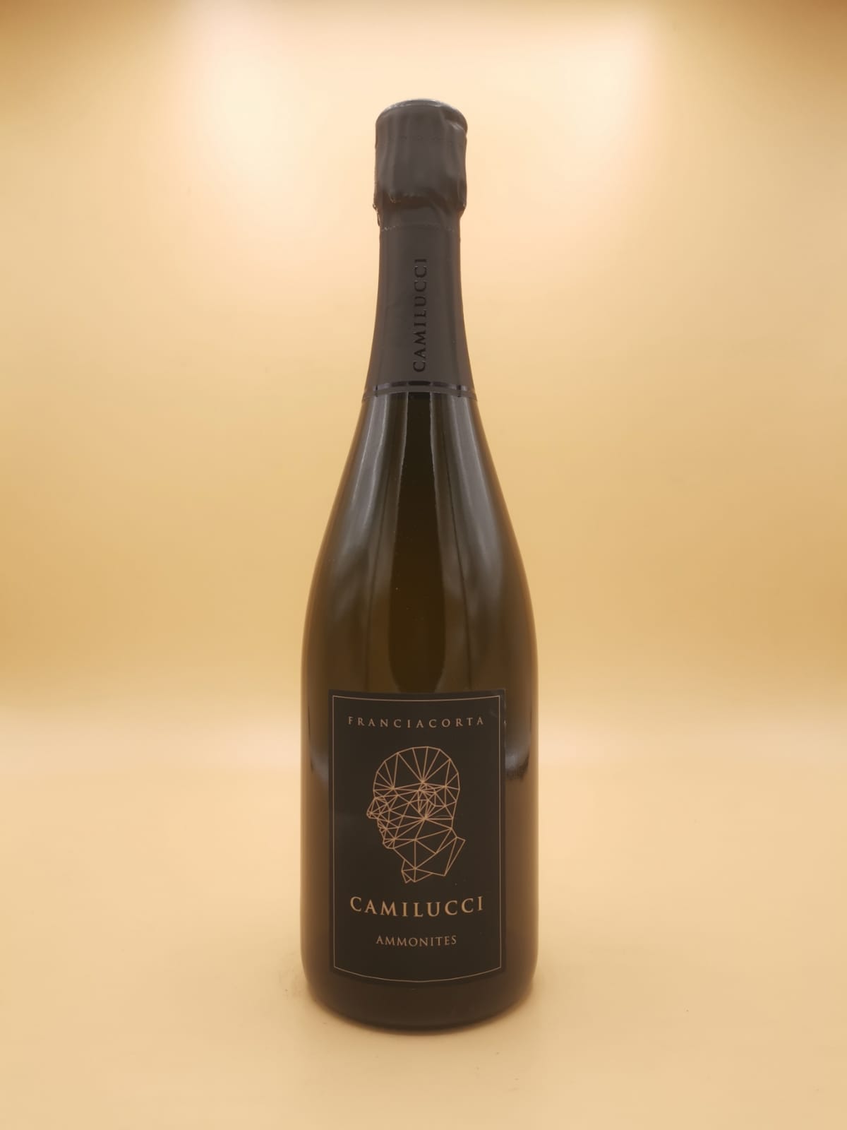 Ammonites DOCG Franciacorta Dosage Zero Camilucci | Vin et Alchimie