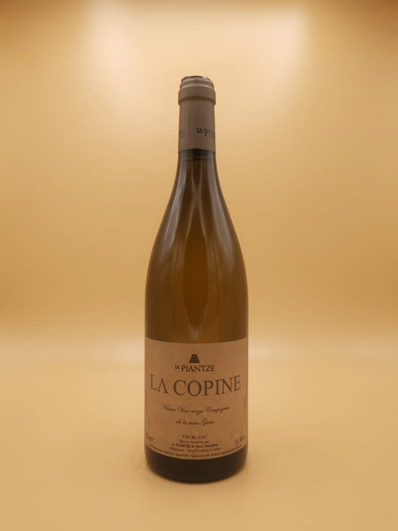 La Copine Sauvignon Blanc 2022 La Plantze | Vin et Alchimie 