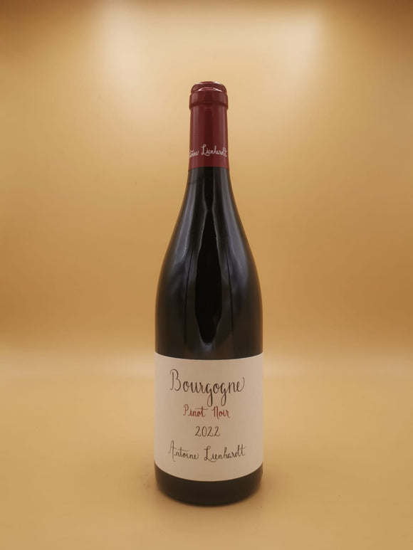 Bourgogne Pinot Noir 2022 Antoine Lienhardt | Vin et Alchimie