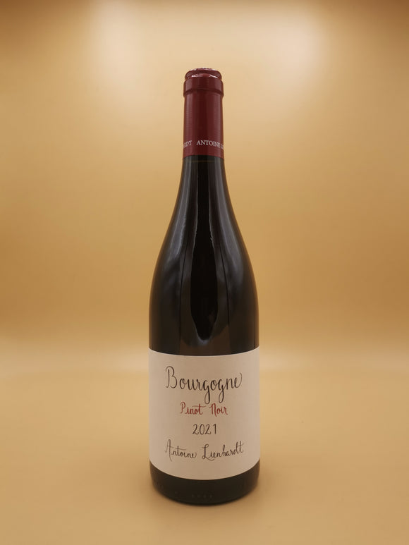 Bourgogne Pinot Noir 2021 Antoine Lienhardt | Vin et Alchimie